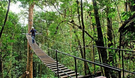 Make the best of your Monteverde Cloud Forest experience | Enchanting Costa Rica