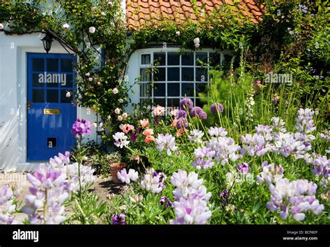 Seaside Cottage Garden North Yorkshire Coast Stock Photo - Alamy