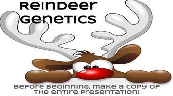 Christmas Genetics by Elizabeth Hiter | TPT