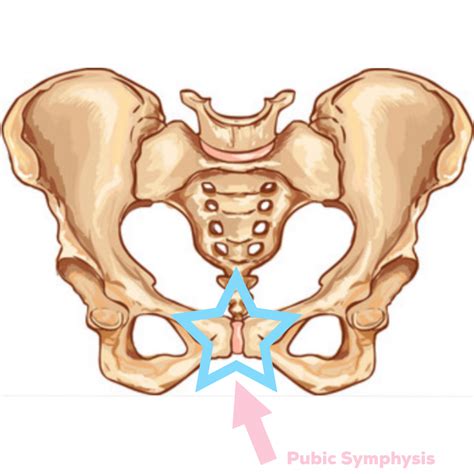 PUBIC SYMPHYSIS PAIN - WHAT IS IT AND HOW CAN YOU GET RELIEF? - Health2U