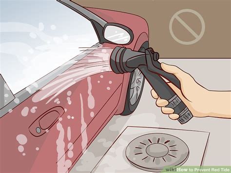 3 Ways to Prevent Red Tide - wikiHow