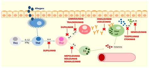 Biomedicines | Free Full-Text | Immunological Targets of Biologic Drugs ...