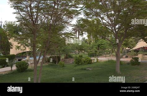 Green Parks in Riyadh KSA (3 Stock Video Footage - Alamy