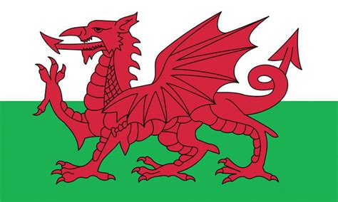 Wales Welsh Dragon Flag: Amazon.co.uk: Kitchen & Home