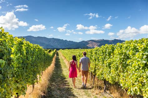 South Australia Wine Tours | See Adelaide & Beyond