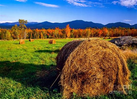 Fall foliage colors of the White Mountains Photograph by Michael McCormack - Pixels