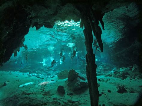 Cenotes diving in Yucatan Mexico best cave and cavern dives in the world expert dive team