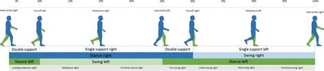 The Gait Cycle - Physiopedia