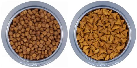 Kibble Science – How it’s Made – The Purrington Post