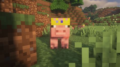 Pig Crown Texture Pack Minecraft Texture Pack