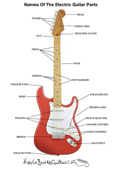 an electric guitar labeled in its parts