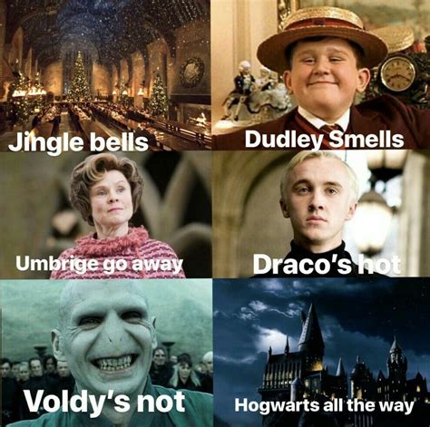 Funny Harry Potter Memes Voldemort