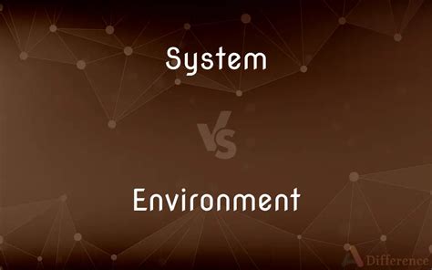 System vs. Environment — What’s the Difference?