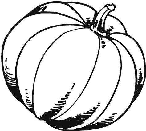 Pumpkin Outline Printable | Free download on ClipArtMag