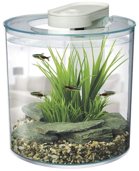 Best Betta Fish Tanks - Best Home For Your Betta | Small fish tanks ...