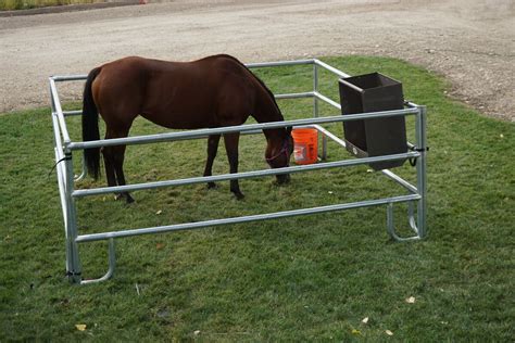 Image result for horse corral | Horse pens, Horses, Horse corral