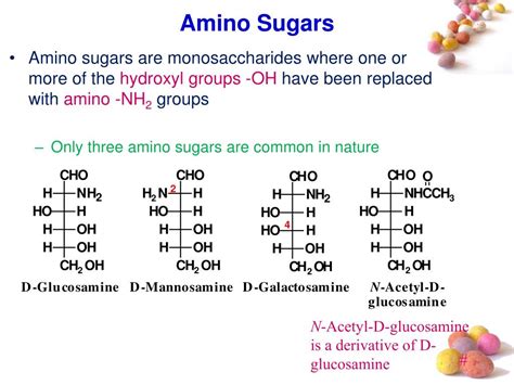 PPT - Amino sugars Proteoglycans PowerPoint Presentation, free download ...