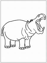 Hippo Coloring Pages  Free Printable For Kids sketch template