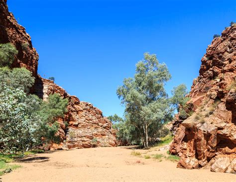 The 10 best things to do in Alice Springs for a trip of a lifetime ...