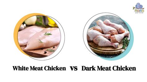 White Meat vs Dark Meat Chicken: Full Health Comparison with Calories, Fat, and More