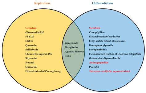 CIMB | Free Full-Text | Regeneration of Pancreatic Beta Cells by Modulation of Molecular Targets ...