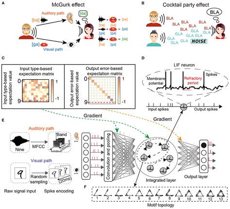 Frontiers | Explaining cocktail party effect and McGurk effect with a ...