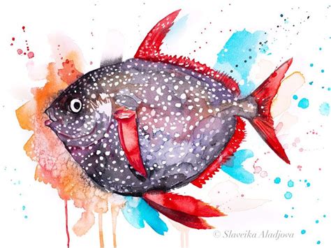 Opah Moonfish Sunfish Watercolor Painting Print by Slaveika | Etsy ...