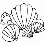 Seashell items Outline coloring Book Page Line Art Drawing  Premium AI sketch template
