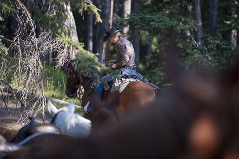 Banff Trail Riders - RanchSeeker