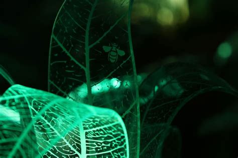 These glow-in-the-dark plants will abandon your love affair with night ...