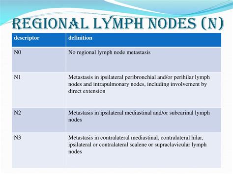 PPT - Lung cancer staging PowerPoint Presentation, free download - ID:4678509