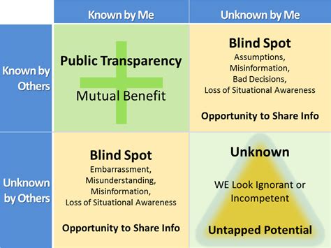 Johari Window Examples For Students