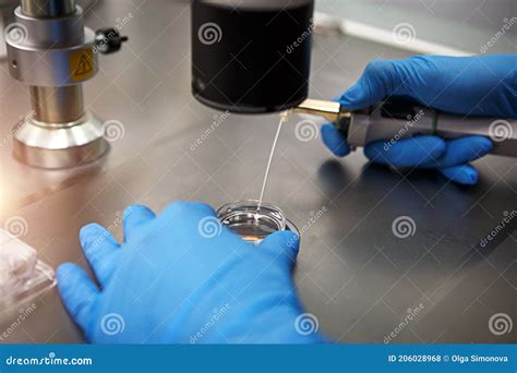 Hands of a Scientist in the Laboratory with a Test Tube and a Microscope. the Invention of the ...