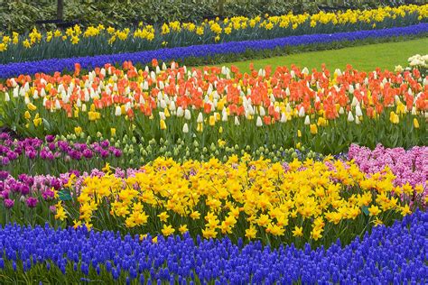 Keukenhof Gardens - Jim Zuckerman photography & photo tours