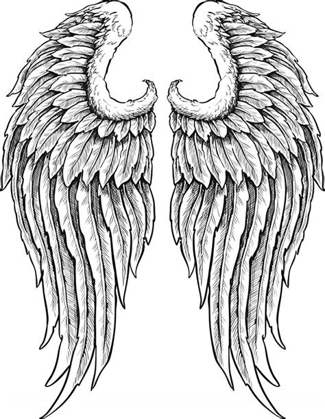 Feather Wings Drawing | Free download on ClipArtMag