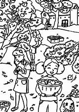 Backyard Coloring Pages sketch template