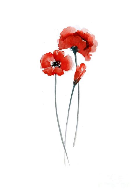 Poppies Watercolor - Painters Legend