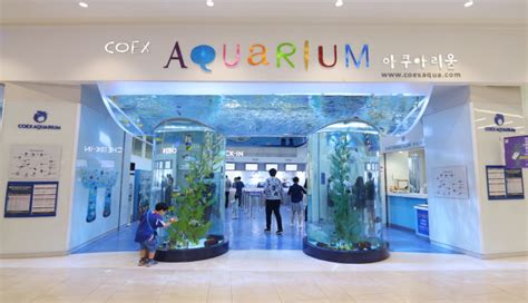 Fantastic Water Journey: Coex Aquarium - Hey It's Jacque