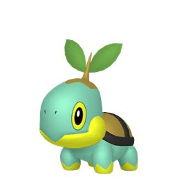 Turtwig (Pokémon GO) - Best Moveset, Weakness, Counters, Shiny