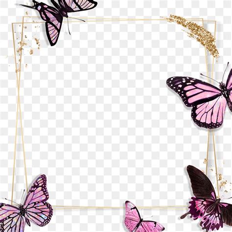 Square pink butterfly frame design element