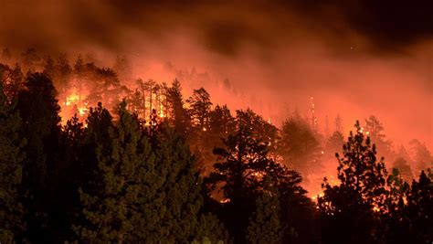 Scorched earth: U.S. wildfires near record level