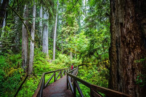 Hiking Amongst Giants at Redwood National and State Parks Part 1 ...