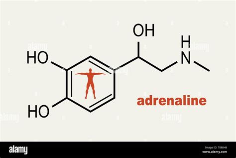 Chemistry chemical formula adrenaline hi-res stock photography and images - Alamy