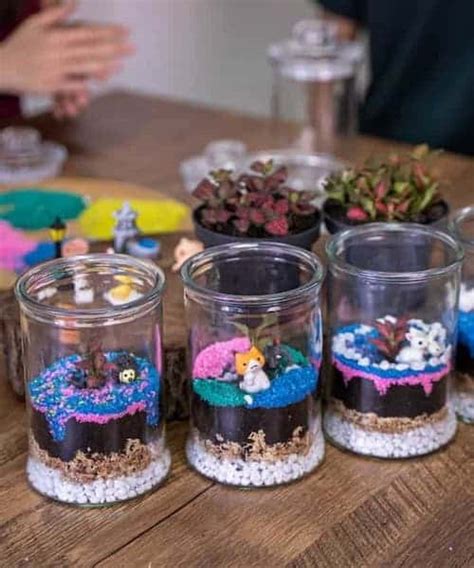 Terrarium Guide 2022: 8 Different Types of Terrarium - Team Building Games