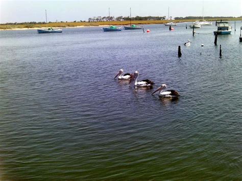 TRACKS, TRAILS AND COASTS NEAR MELBOURNE : Exploring the Werribee South Beach