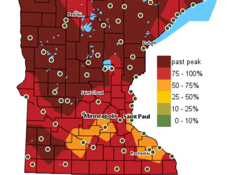 Fall Foliage Map 2025 Minnesota - Rikki Kirsteni