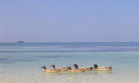 Explore Indialand: Geography Of Lakshadweep