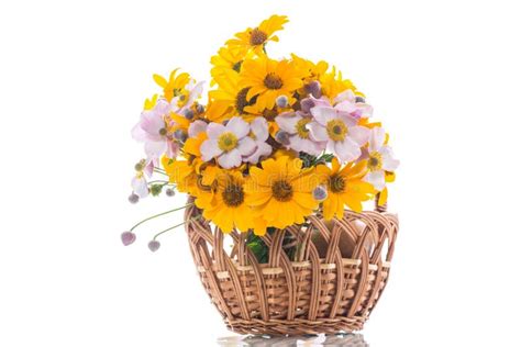 Bouquet of Yellow Big Daisies Stock Image - Image of card, closeup ...