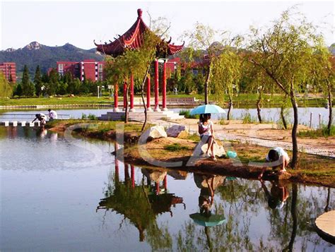 Shandong University of Science & Technology - Campus Scenery - Shandong University of Science ...