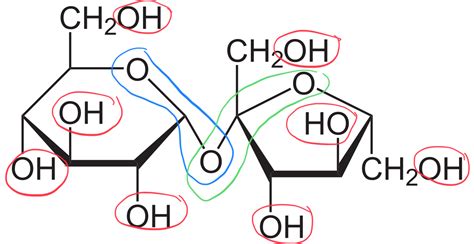 Functional group of sucrose